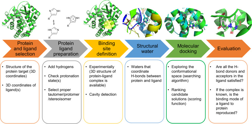 Protein-Ligand Docking(1)