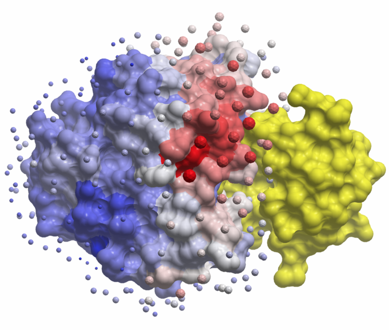 Protein-Protein Docking