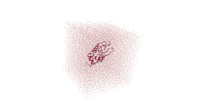 Protein solvated in a water box with counter-ions before simulation