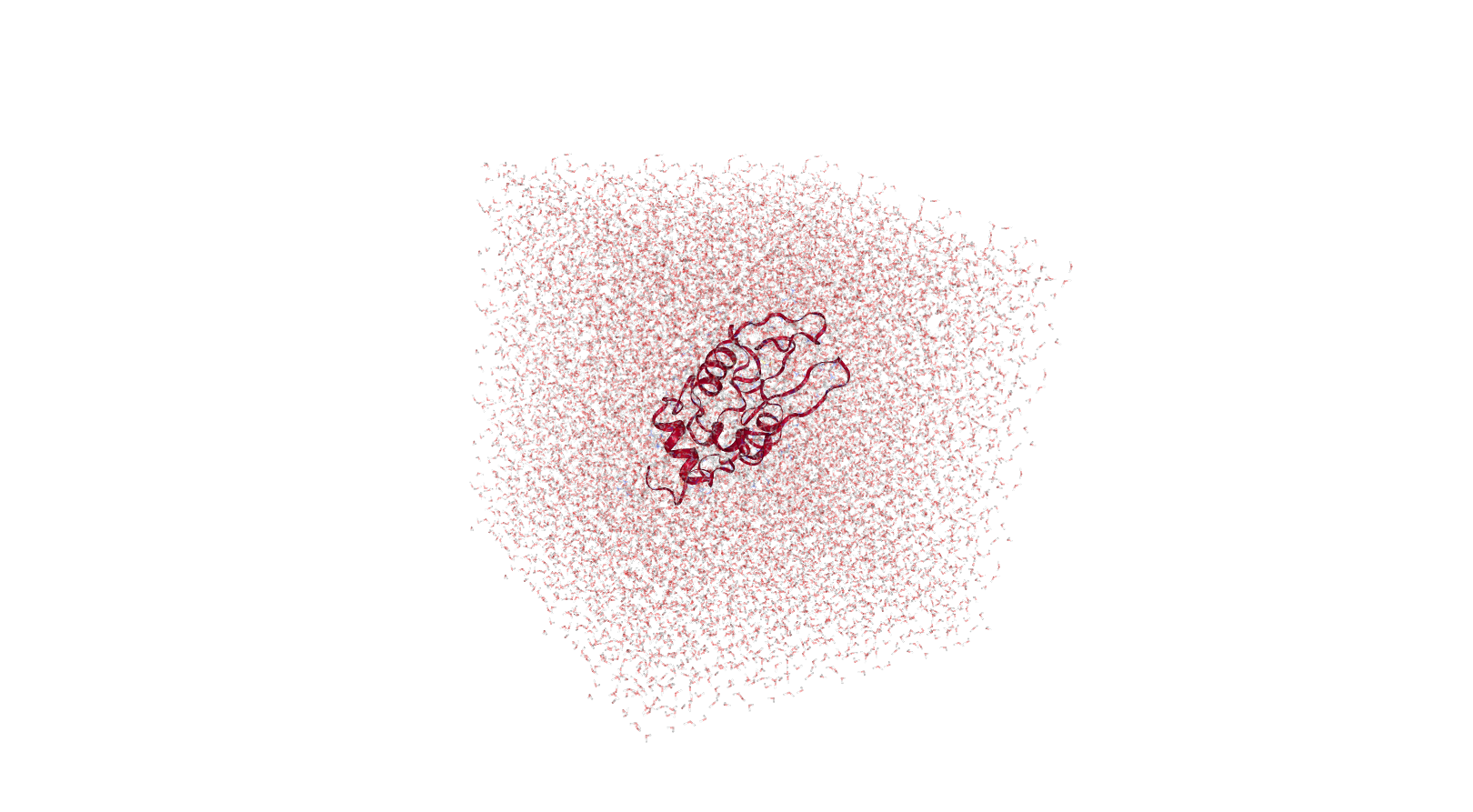 Protein Solvation