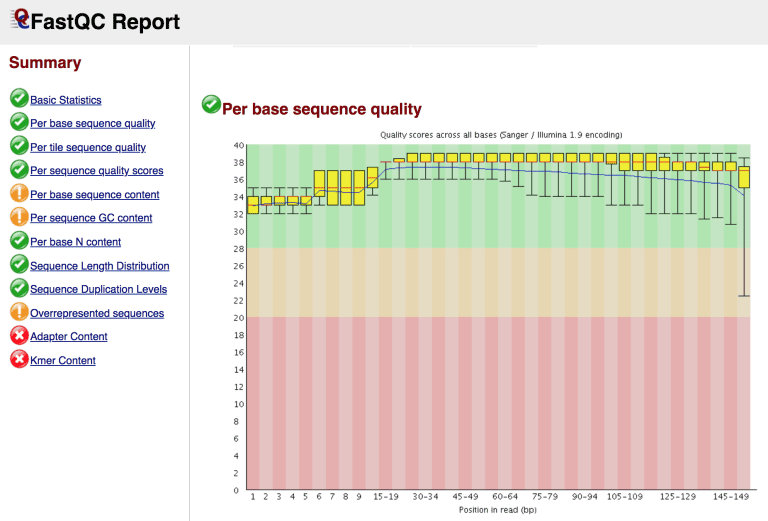 FastQC per-base sequence quality report for raw sequencing reads