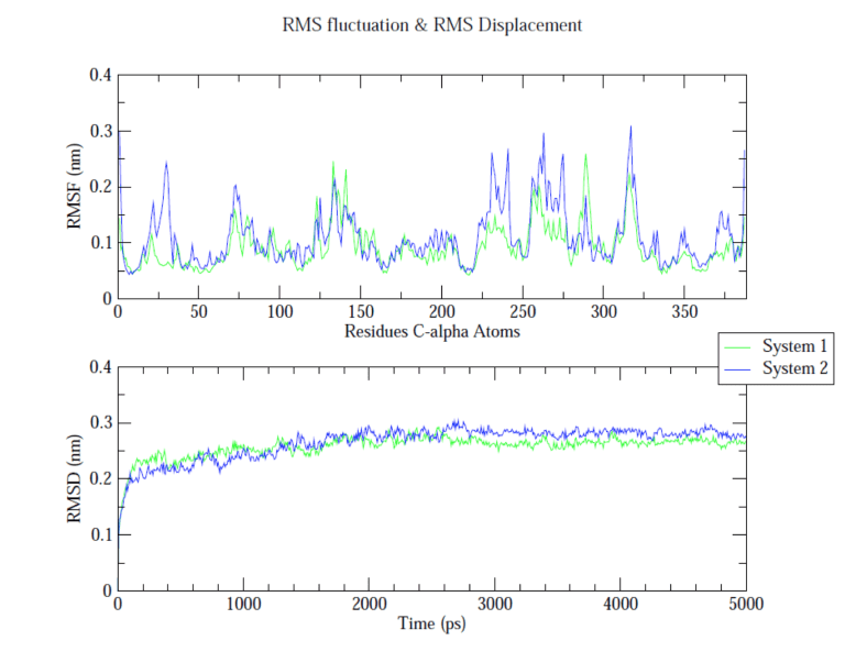 RMSD and RMSF plots showing backbone deviation and per-residue fluctuation