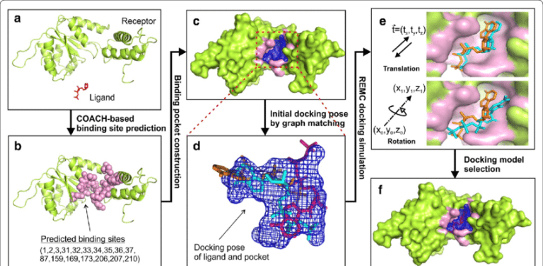 Rigid docking with receptor and ligand held fixed during the conformational search