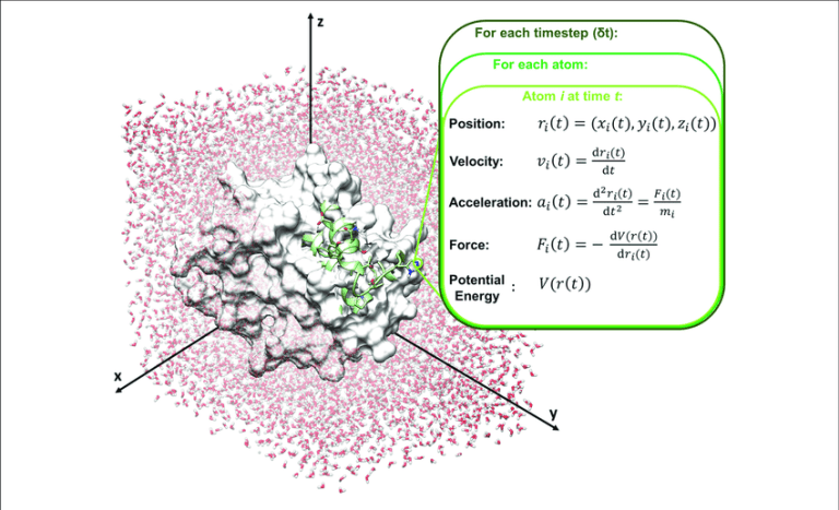 Schematic representation of the molecular dynamics simulation process