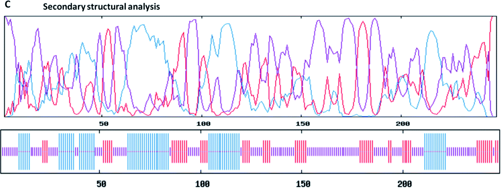 Secondary Structure Prediction