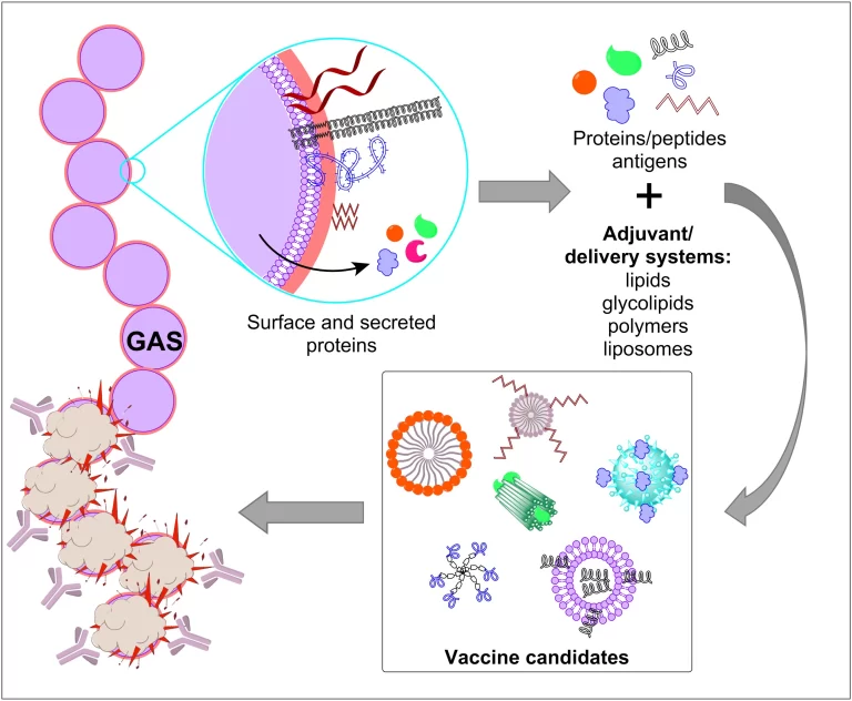 Target identification step in the computational vaccine design pipeline