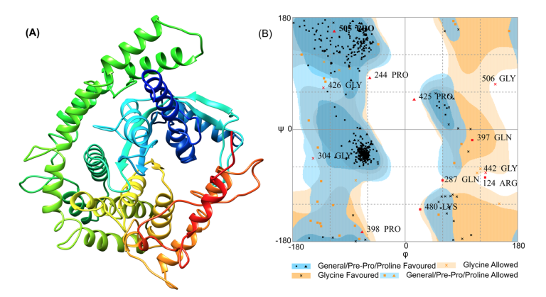 Tertiary structure prediction and refinement of a vaccine construct