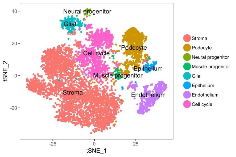 t-SNE plot projecting high-dimensional data into two dimensions