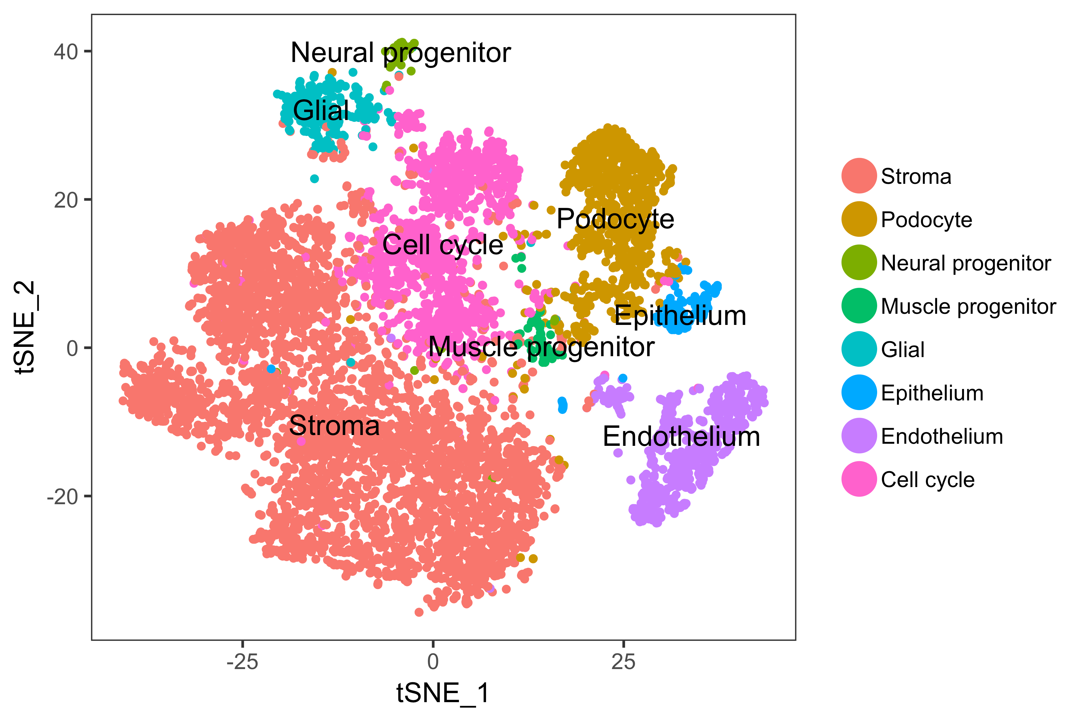 tSNE