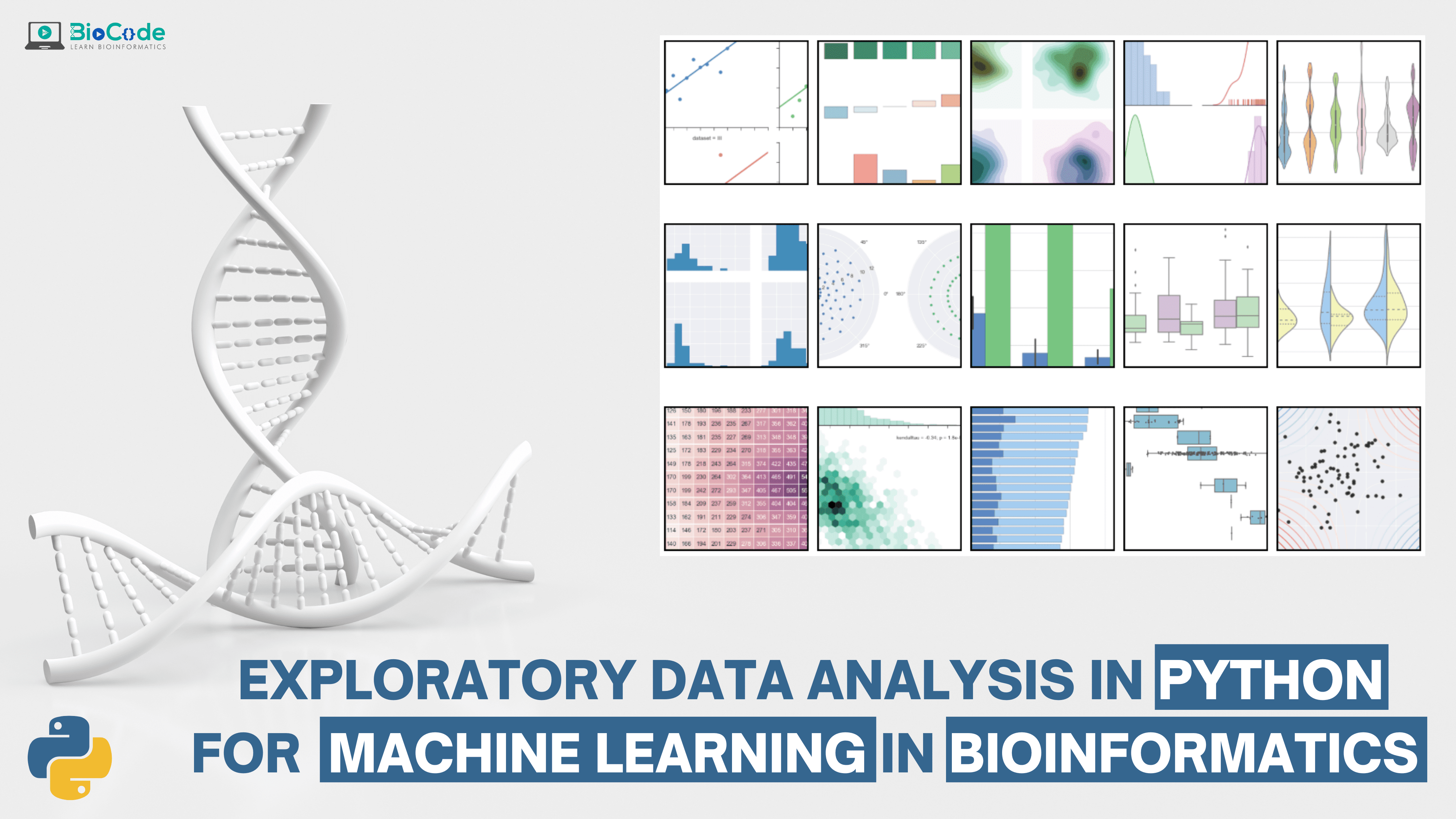 Exploratory Data Analysis (EDA) in Python for Machine Learning in Bioinformatics