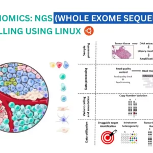 Cancer Genomics: NGS (Whole Exome Sequencing) Variant Calling Using Linux