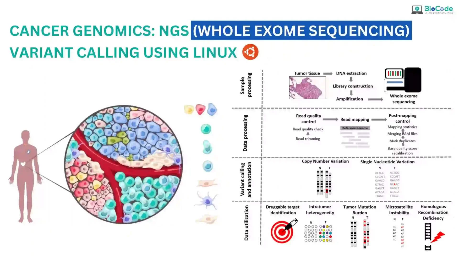 Cancer Genomics: NGS (Whole Exome Sequencing) Variant Calling Using Linux