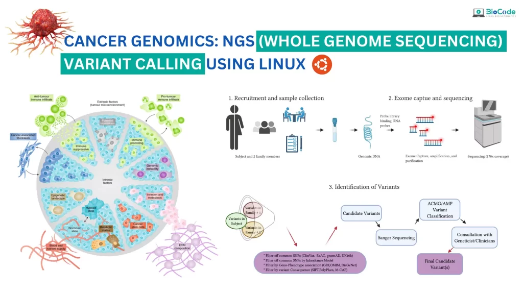 Cancer Genomics: NGS (Whole Genome Sequencing) Variant Calling Using ...