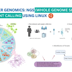 Cancer Genomics: NGS (Whole Genome Sequencing) Variant Calling Using Linux