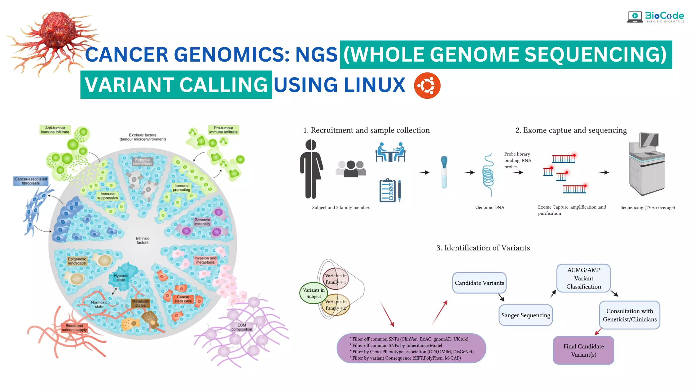 Cancer Genomics: NGS (Whole Genome Sequencing) Variant Calling Using Linux