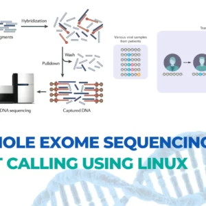 Hands-on: NGS (Whole Exome Sequencing) Variant Calling Using Linux