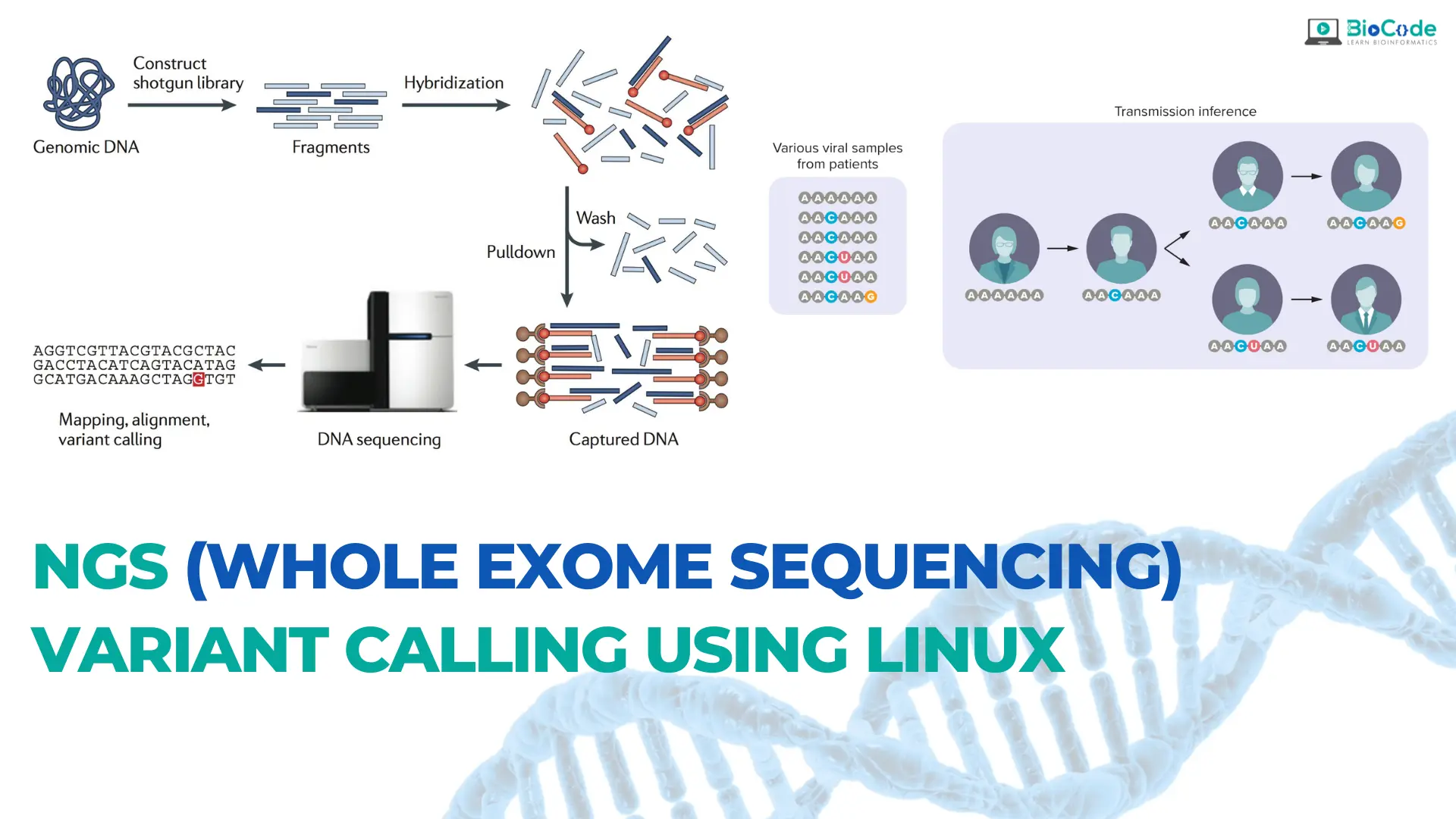 Hands-on: NGS (Whole Exome Sequencing) Variant Calling Using Linux