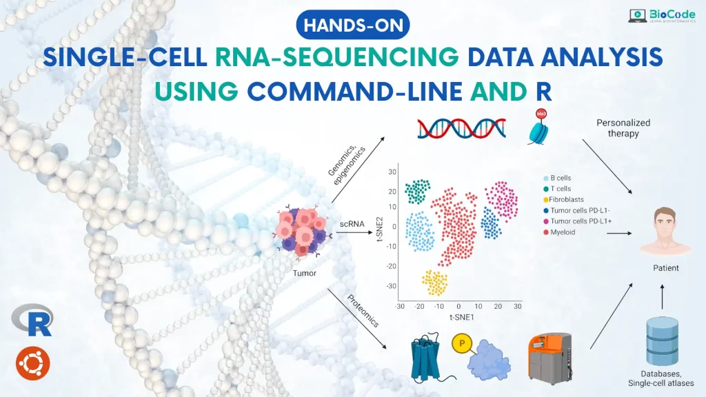 Hands-on: Single-Cell RNA-Sequencing Data Analysis Using Command-Line ...