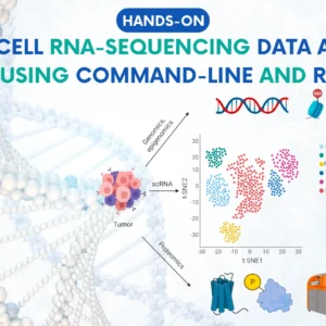 Hands-on: Single-Cell RNA-Sequencing Data Analysis Using Command-Line and R [Complete Training]