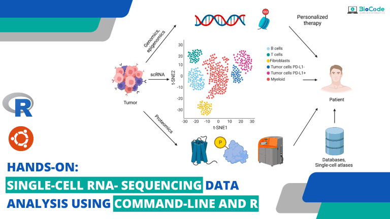 Course Thumbnail for Hands-on Single-Cell RNA- Sequencing Data Analysis ...
