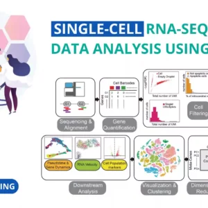 Hands-on: Single-Cell RNA-Sequencing Data Analysis Using Python [Complete Training]