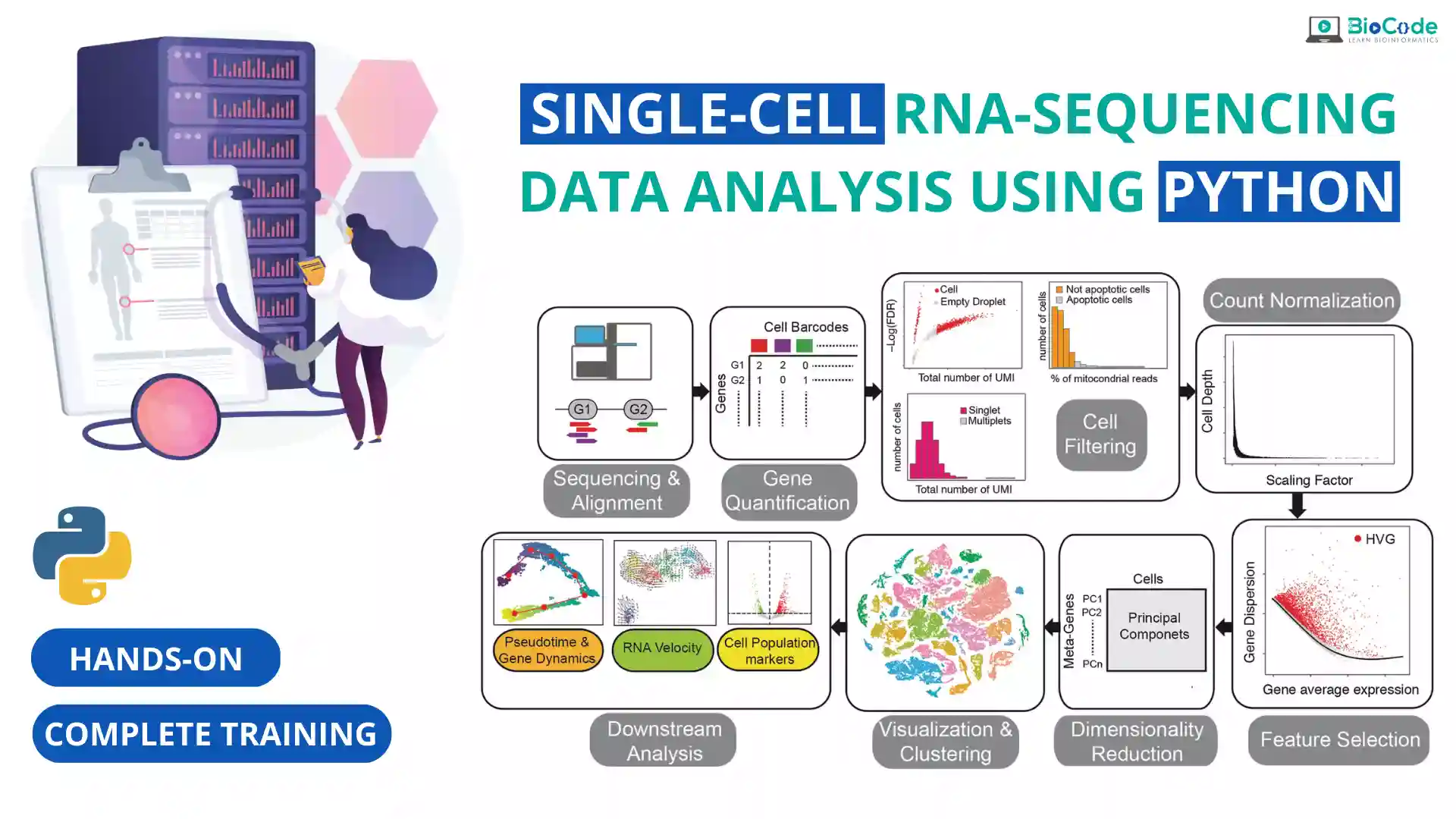 Hands-on: Single-Cell RNA-Sequencing Data Analysis Using Python [Complete Training]