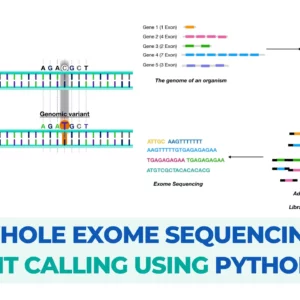 Hands-on: NGS (Whole Exome) Variant Calling Using Python