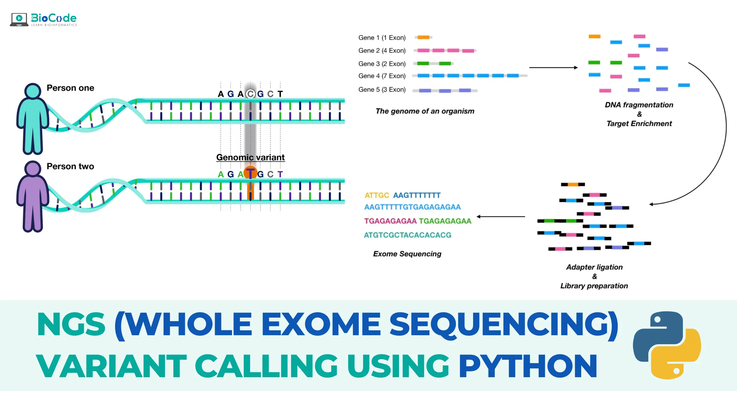 Hands on NGS Whole Exome Variant Calling Using Python | BioCode