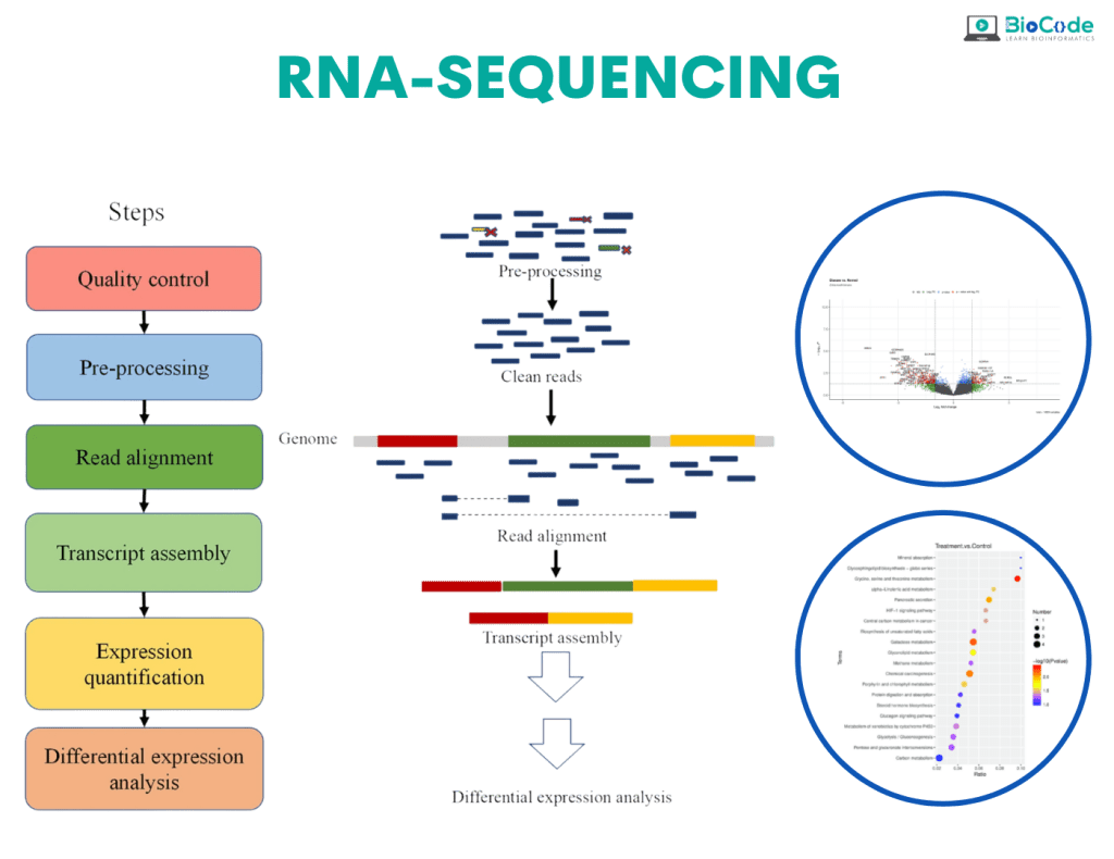 | BioCode | BioCode