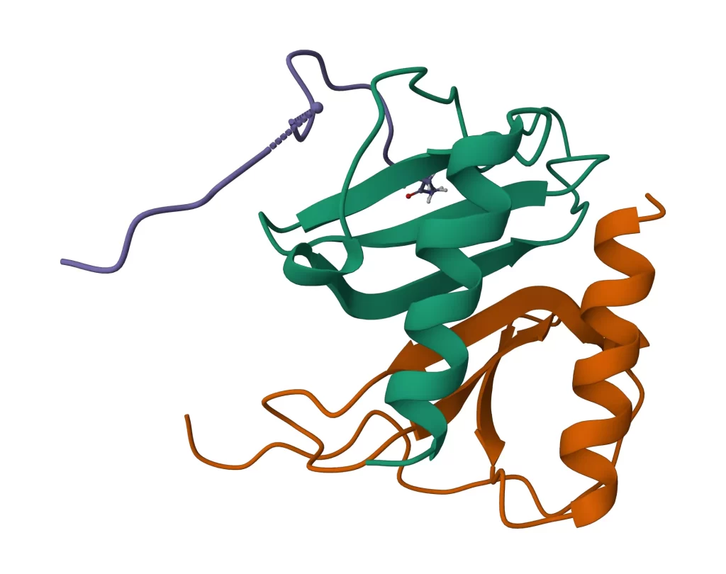 | BioCode | BioCode