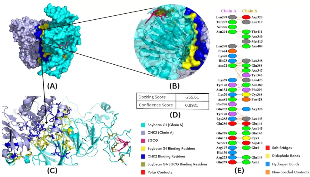 | BioCode | BioCode