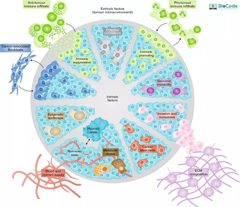 | BioCode | BioCode