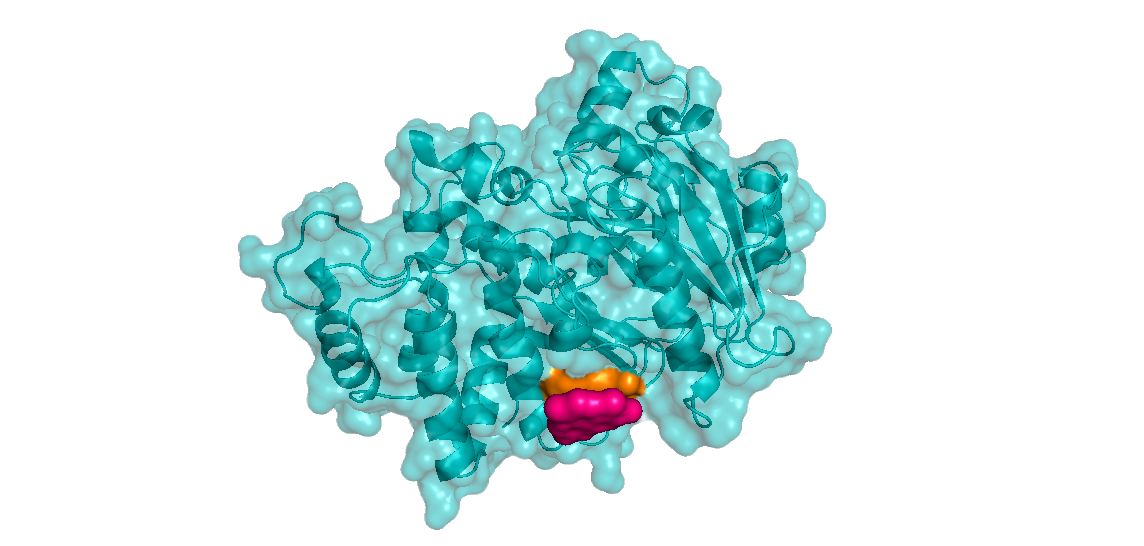 | BioCode | BioCode