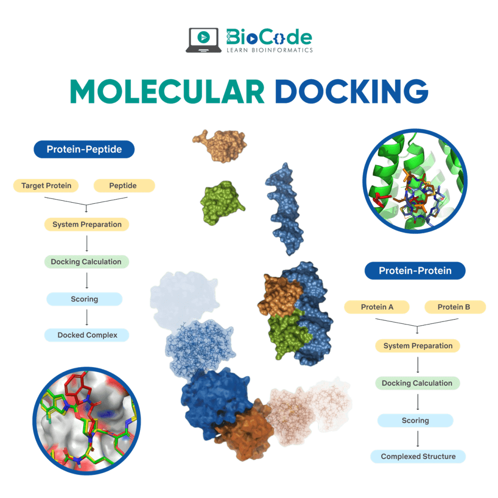 | BioCode | BioCode