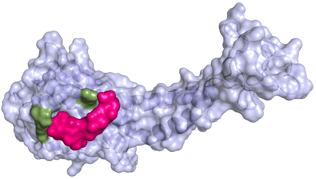 molecular docking services BioCode CompountHunter | BioCode | BioCode