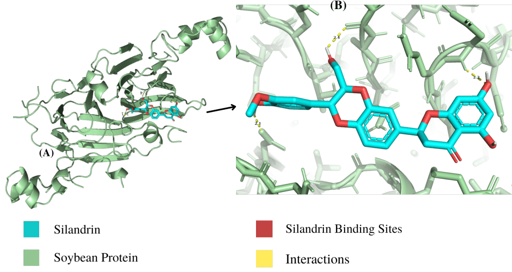 Introducing CompoundHunter: Revolutionize Your Research 🚀 Discover the future of protein-ligand docking with BioCode's cutting-edge service! 🧬 Identify top lead compounds for your research hypothesis in record time – no more hours of tedious work! 🕒 🧬 Dock your protein(s) against 11,000+ pre-existing or custom ligands within 24 hours! 🚀 Perfect for oncoproteins, antibiotic-resistant proteins, and any disease research! 📈 Highly accurate results backed by advanced AutoDock Vina technology! 📊 Get detailed PDF reports and PNG figures of top 10 lead compounds! 🔍 Save time, resources, and accelerate your research progress! 💡 Trust our expertise and try CompoundHunter today! #CompoundHunter #ProteinDocking #ResearchInnovation #BioCode
