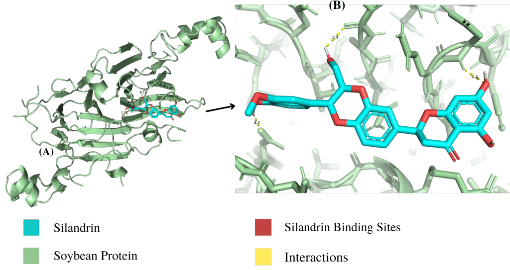 Introducing CompoundHunter Revolutionize Your Research 🚀 Discover the future of protein ligand docking with BioCodes cutting edge service 🧬 Identify top lead compounds for your research hypothesis in record time no more hours of tedious work 🕒 🧬 Dock your proteins against 11000+ pre existing or custom ligands within 24 hours 🚀 Perfect for oncoproteins antibiotic resistant proteins and any disease research 📈 Highly accurate results backed by advanced AutoDock Vina technology 📊 Get detailed PDF reports and PNG figures of top 10 lead compounds 🔍 Save time resources and accelerate your research progress 💡 Trust our expertise and try CompoundHunter today CompoundHunter ProteinDocking ResearchInnovation BioCode | BioCode | BioCode