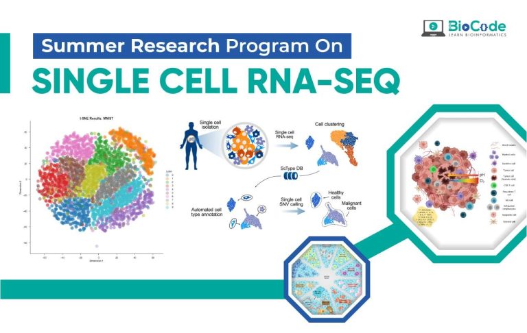 Summer Research Program on Single-Cell RNA-Seq