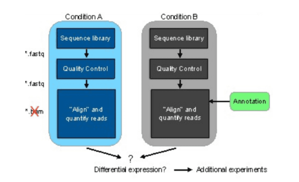 | BioCode | BioCode