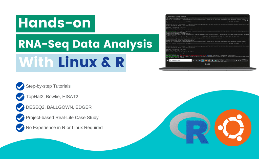 Decoding the Transcriptome: A Comprehensive Guide to RNA-seq Analysis ...