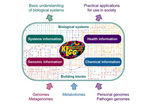 | BioCode | BioCode