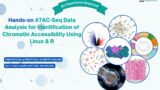 Hands-on ATAC-Seq Data Analysis for Identification of Chromatin Accessibility Using Linux & R