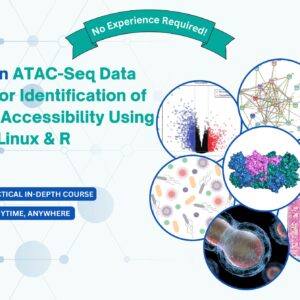 Hands-on ATAC-Seq Data Analysis for Identification of Chromatin Accessibility Using Linux & R