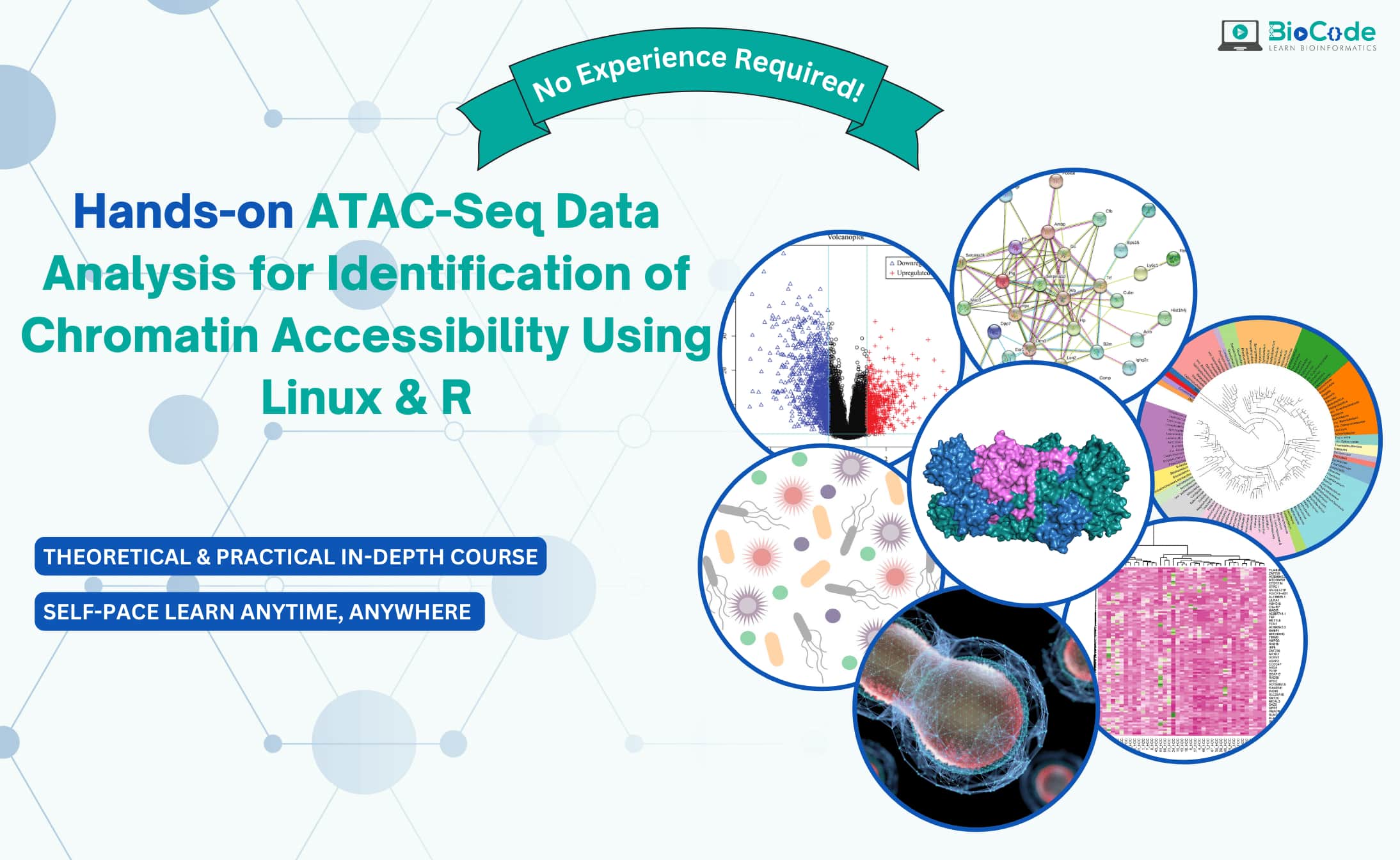 Hands-on ATAC-Seq Data Analysis for Identification of Chromatin Accessibility Using Linux & R