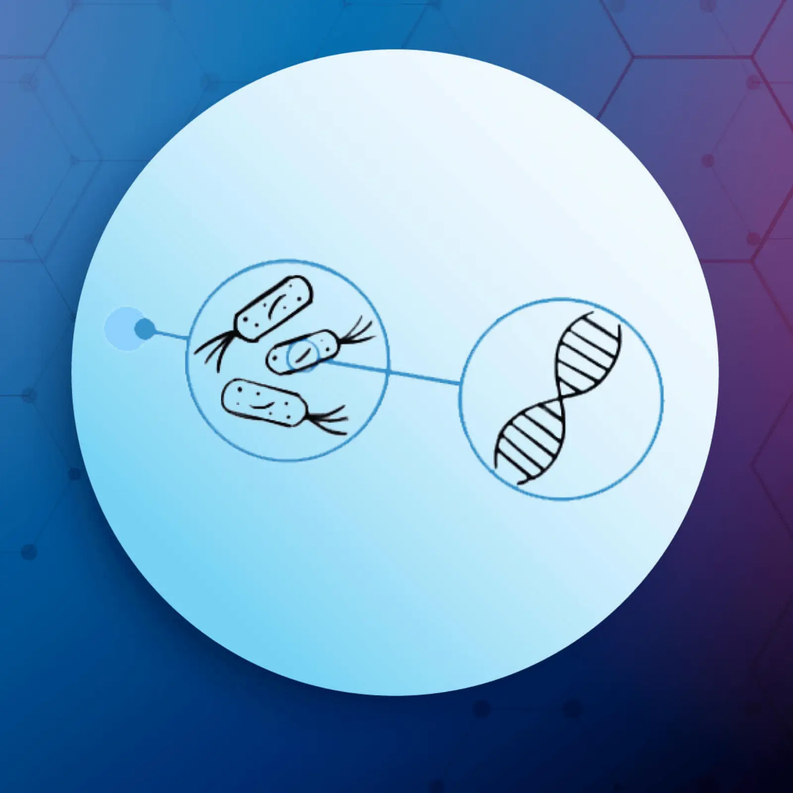 Next Generation Sequencing | BioCode | BioCode