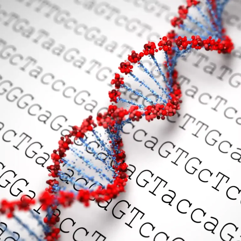 DNA