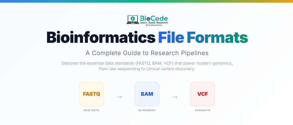 Biom File Bioinformatics File Formats: A Complete Guide – BioCode Learn. SaaS ...