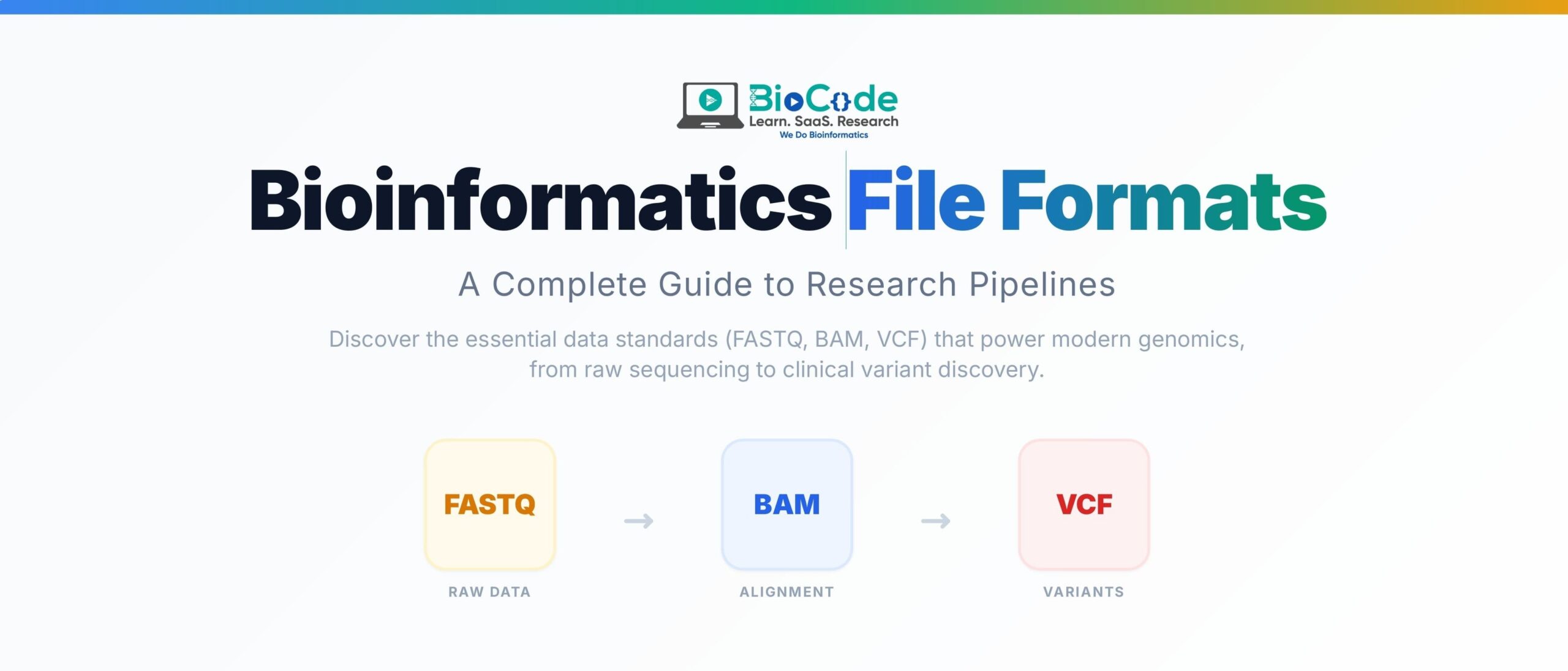 Bioinformatics File Formats: A Complete Guide