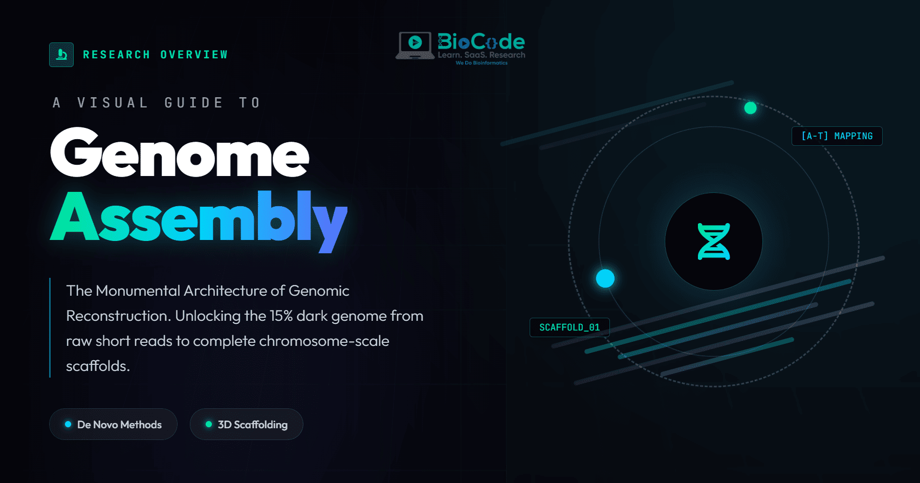 A Visual Guide to Genome Assembly