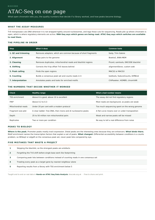 The first page of the free immunology summary